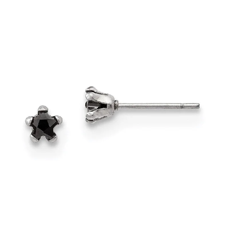 women’s gemstone earrings-Stainless Steel Polished 4mm Black Star CZ Stud Post Earrings